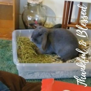 Meet your Posher, Suzi